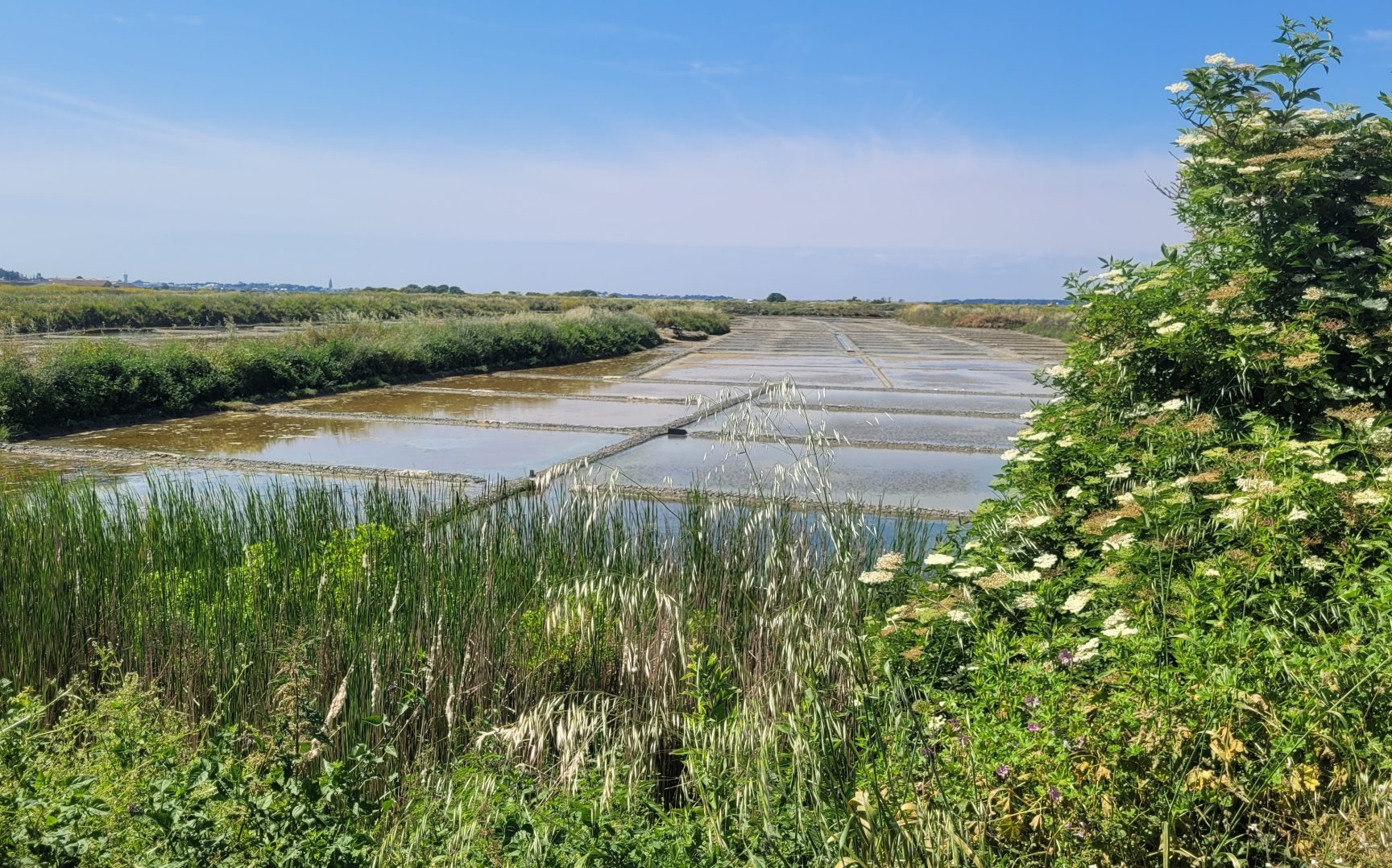 marais salants près de batz-sur-mer et du camping la falaise